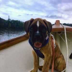 Meet your Posher, Steve